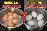Tại sao luộc trứng vịt cho nước lạnh, luộc trứng gà chờ nước sôi?