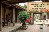 2 mệnh này trồng cây Ngũ Gia Bì cả nhà được lợi
