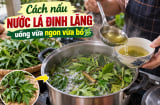 Cách nấu nước lá đinh lăng uống vừa ngon vừa bổ