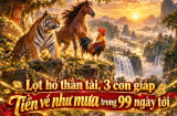 Lọt hố thần tài, 3 con giáp Tiền về như mưa trong 99 ngày tới