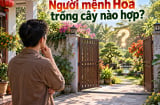Người mệnh Hoả trồng cây nào hợp?