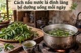 Cách nấu nước lá đinh lăng bổ dưỡng uống mỗi ngày