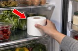 Đêm ngủ đặt cuộn giấy vào tủ lạnh có tác dụng gì?