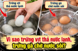 Tại sao luộc trứng vịt thả nước lạnh, luộc trứng gà phải chờ nước sôi?