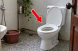 Có nên đậy nắp bồn cầu sau khi đi vệ sinh?