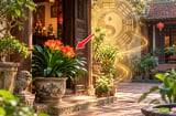 2 vị trí trồng cây Quân Tử tiền tài tăng gấp đôi