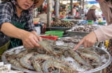 Mua tôm chọn con cong hay thẳng là ngon nhất?