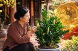 Nhà có loại cây này nở hoa báo Tiền to sắp đổ về