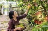 Tuổi nào hợp trồng khế trước cửa nhà?