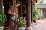 4 tuổi Hợp Duyên trồng cây lưỡi hổ, Tiền cứ thế theo về