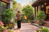3 vị trí đẹp nhất để trồng Đinh Lăng, gia chủ hưởng lộc đều