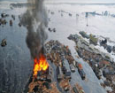 Những hình ảnh kinh hoàng nhất về sóng thần tại Nhật Bản