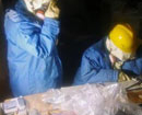 3 công nhân Fukushima nhập viện vì nhiễm độc phóng xạ