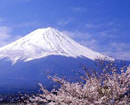 13 núi lửa Nhật Bản sắp hoạt động trở lại
