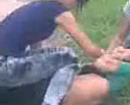 Nữ sinh cấp 2 bị đánh hội đồng, quay clip vào ngày Nhà giáo Việt Nam