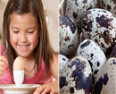 Bé 5 tuổi ăn trứng gà hay trứng cút thì tốt nhất?