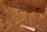 Chết chưa được 49 ngày đã bị đào trộm mộ cướp vàng