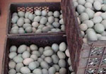Trứng vịt muối Trung Quốc chứa chất gây ung thư