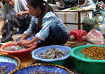 Hà Nội: Tép riu, cá mương đắt ngang tôm biển, thịt bò