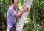 Quái nhân cụt chân vẫn đánh cá hái dừa nuôi gia đình