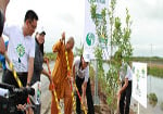 Tiếp tục trồng 17.000 cây xanh tại Tiền Giang