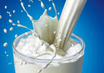 Hiệp hội sữa kêu bộ,ngành làm rõ tin đồn sữa có đỉa