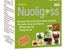 Nuoligoss trị táo bón hiệu nghiệm ở Bảo Thanh Đường