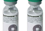 Tạm ngừng sử dụng vắc xin 5 trong 1 Quinvaxem