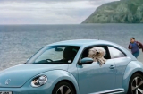 36 chú chó quảng cáo xe Volkswagen