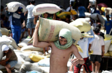 8 người chết vì giành giật gạo sau bão Haiyan