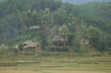 Hoang tin về dòng họ ma cà rồng ở Việt Nam