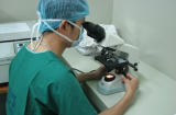Lần đầu triển khai thụ tinh trong ống nghiệm tại Đà Nẵng