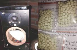 Giấu 5kg ma túy trong loa thùng từ Trung Quốc về Việt Nam