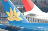 Nữ tiếp viên Vietnam Airlines bị bắt tại Nhật