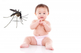 Mẹo xử lý vết đốt côn trùng gây ra cho trẻ nhỏ