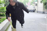 Bà lão 80 tuổi nổi tiếng vì diệt 1.000 con ruồi mỗi ngày