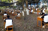 Học sinh Trung Quốc vào rừng làm... bài thi