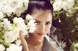 Những “bông hồng lai” xinh đẹp của showbiz Việt
