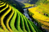 Vì sao Việt Nam lọt top 20 quốc gia đẹp nhất thế giới?