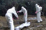 Trung Quốc phát hiện 1 trường hợp nghi nhiễm Ebola