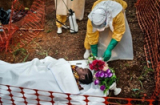 Đại dịch Ebola: Nhiều người bị chết đói ở tâm dịch