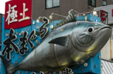 Cảnh mổ xẻ cá khủng ở chợ cá Tsukiji lớn nhất thế giới
