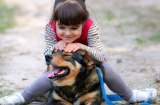 8 lợi ích kì diệu với sức khỏe khi bạn nuôi một chú chó