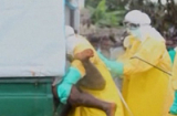 Cưỡng chế thô bạo bệnh nhân Ebola đói khát xin ăn