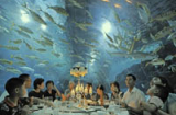 Nhà hàng tổ chức bữa tiệc Trung thu ngay dưới 'đại dương'