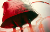 WHO đã dùng máu của người khỏi để điều trị bệnh nhân Ebola?