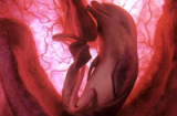 Giật mình hình dáng bào thai động vật khi còn trong tử cung