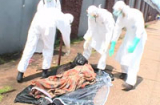 Xác chết vì Ebola bất ngờ sống lại khi mang đi chôn cất