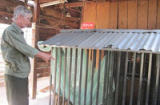 Đắk Lắk: Mẹ nhốt con vào chuồng chó gây xôn xao