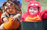 Ngắm những em bé đáng yêu trong hóa trang halloween
